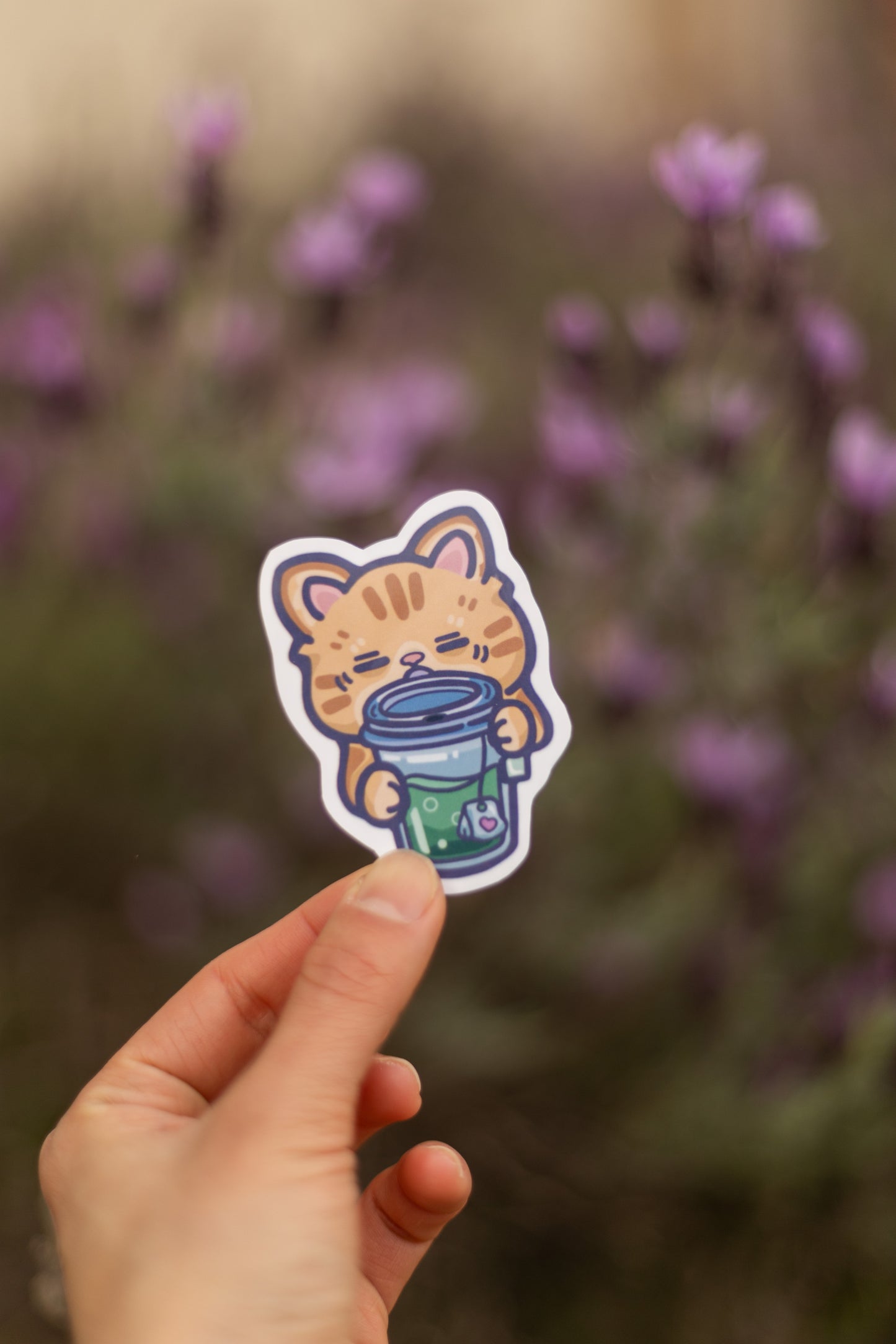 Meow-tcha