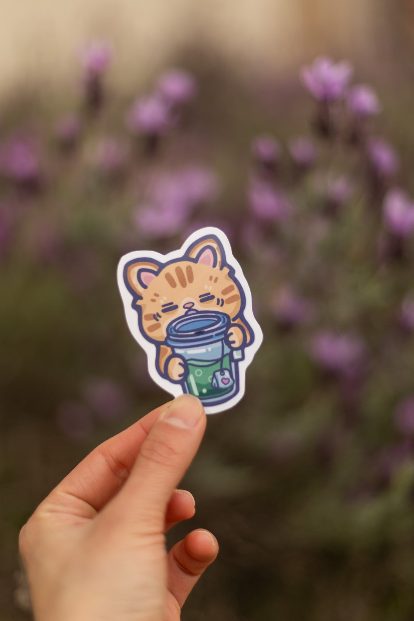 Meow-tcha