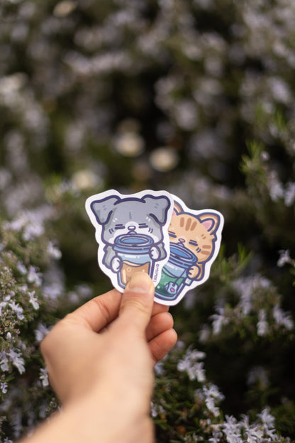 Meow-tcha